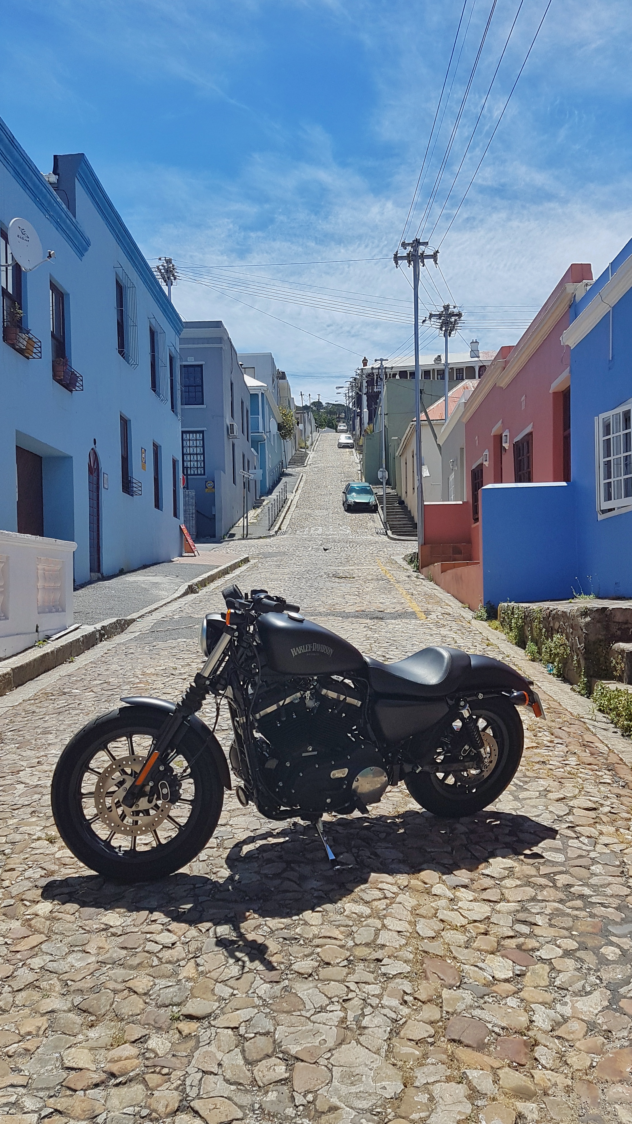 #harleydavidson883